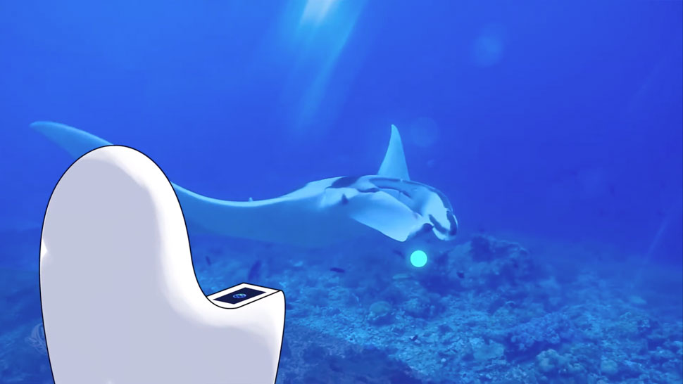 ova5